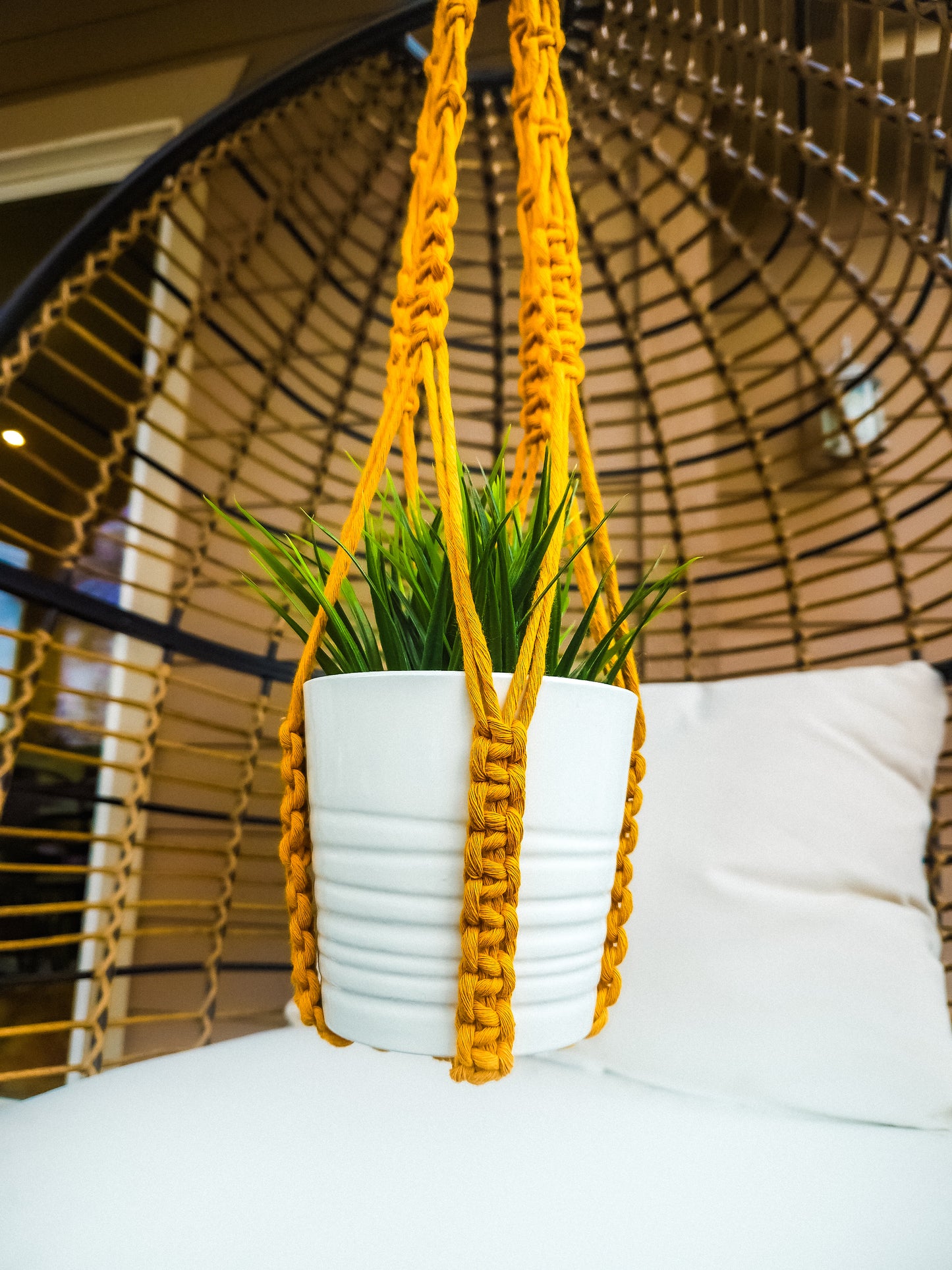 Tassle Free Macrame Plant Hanger