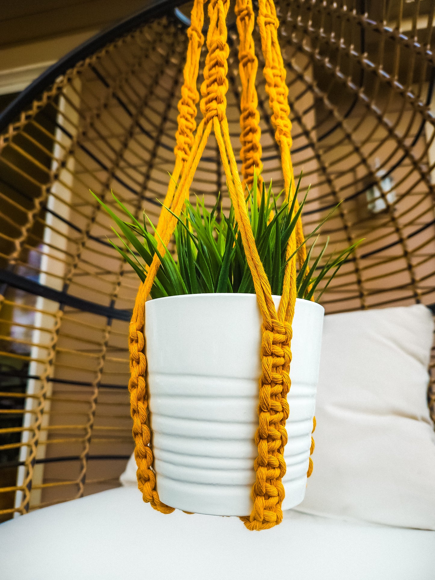 Tassle Free Macrame Plant Hanger