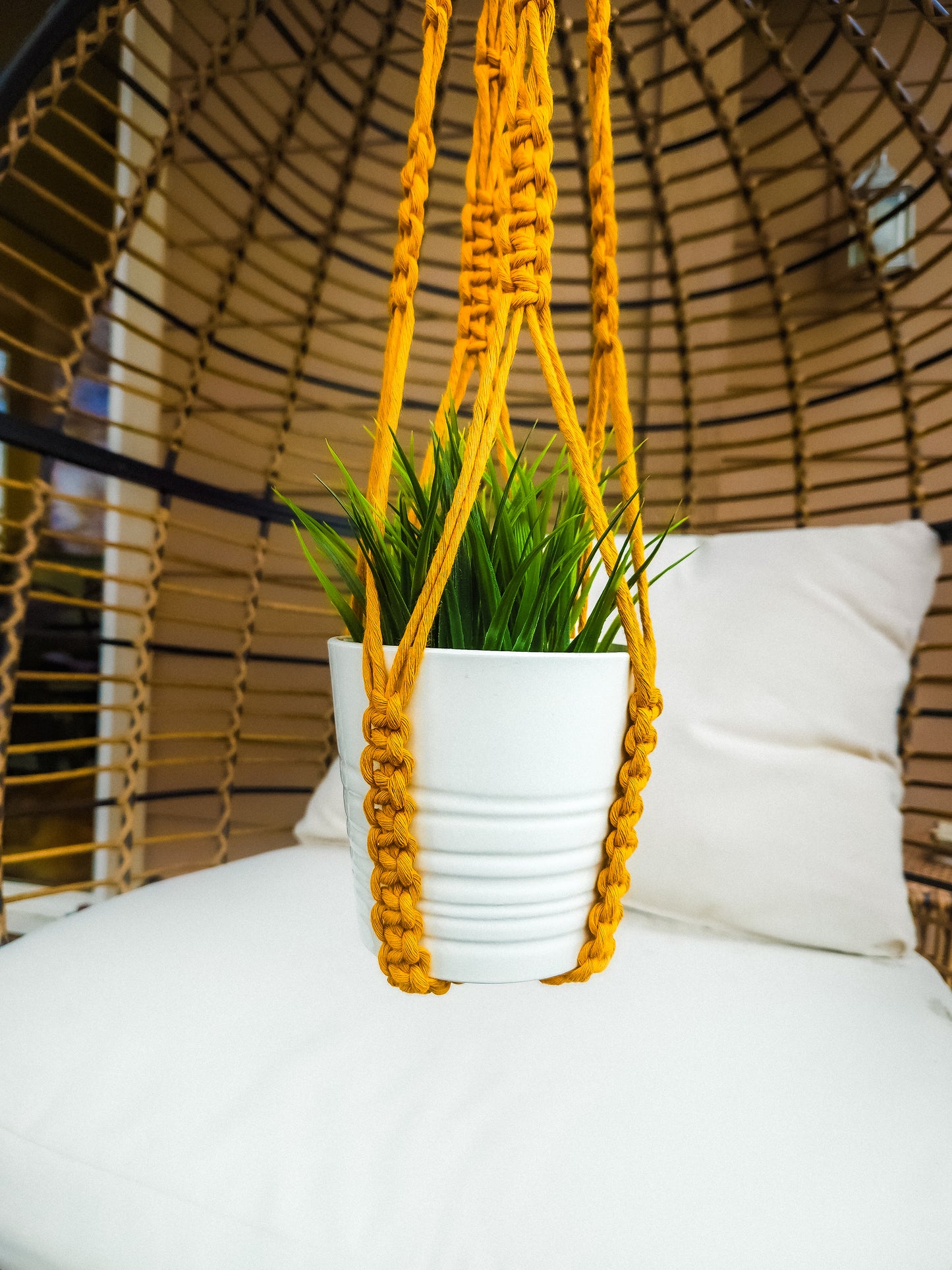 Tassle Free Macrame Plant Hanger
