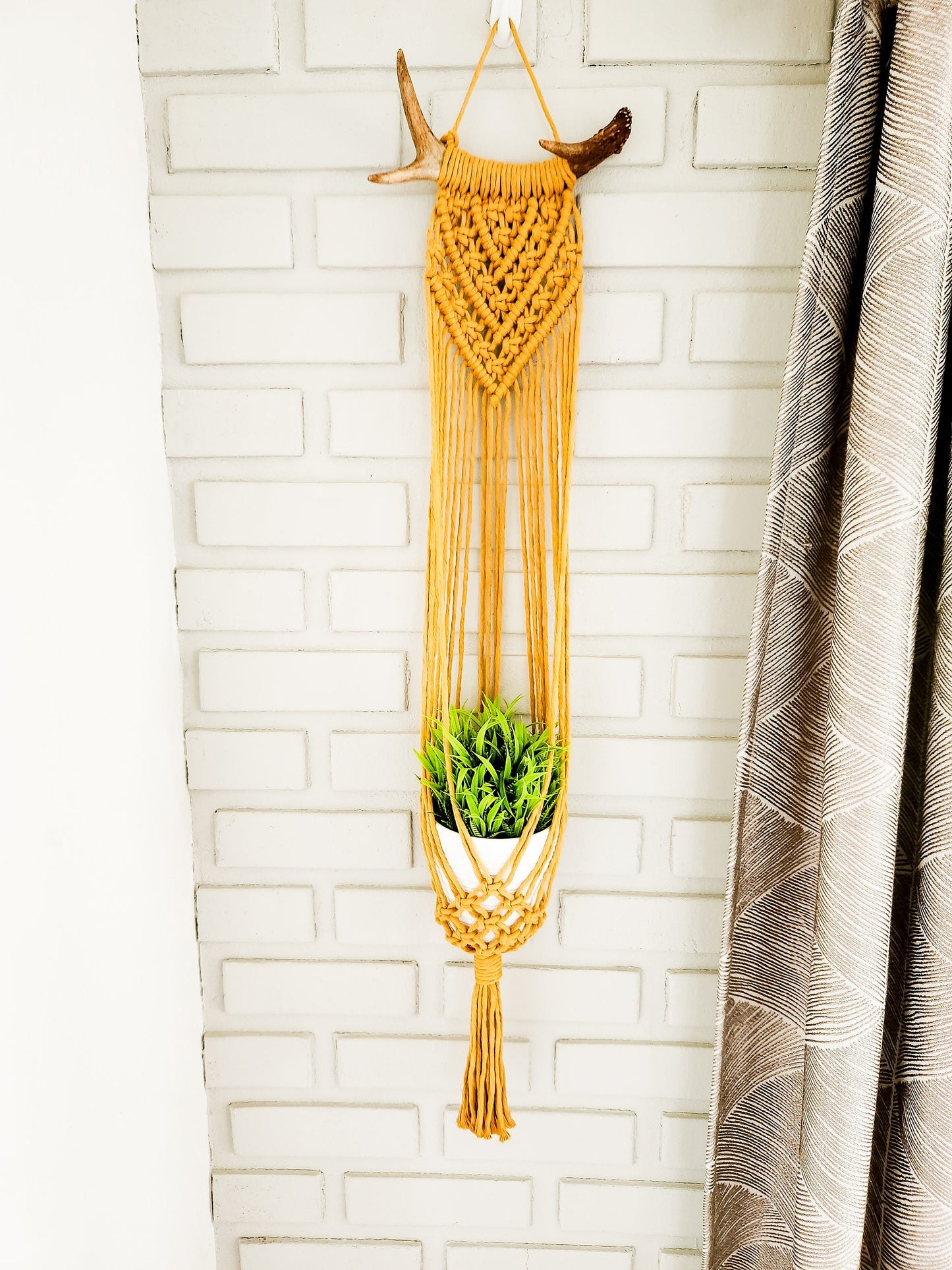 Macrame Plant Hanger on Antler, Boho Plant Hanger, Boho House Decor, Tassel Plant Hanger