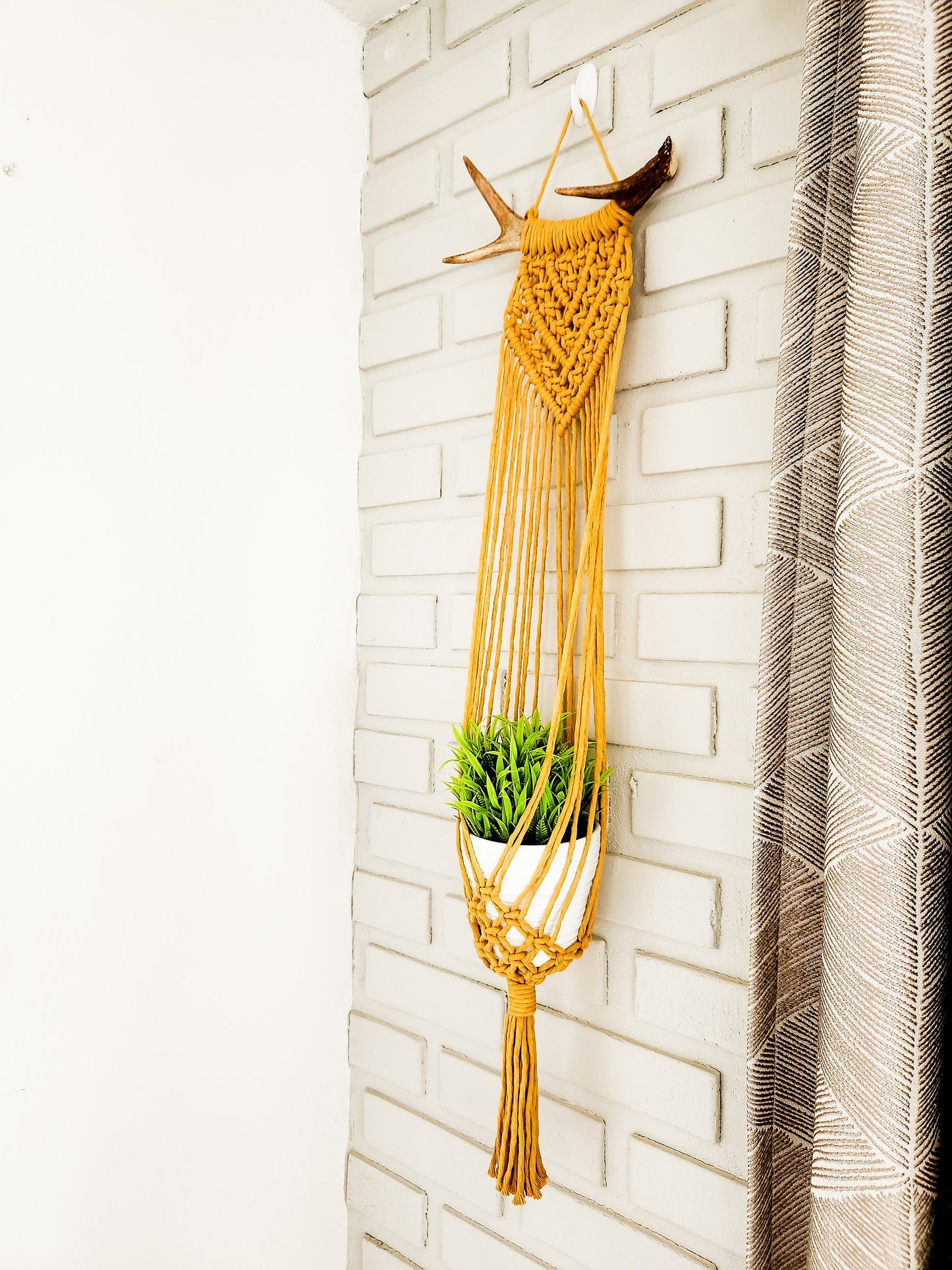 Macrame Plant Hanger on Antler, Boho Plant Hanger, Boho House Decor, Tassel Plant Hanger