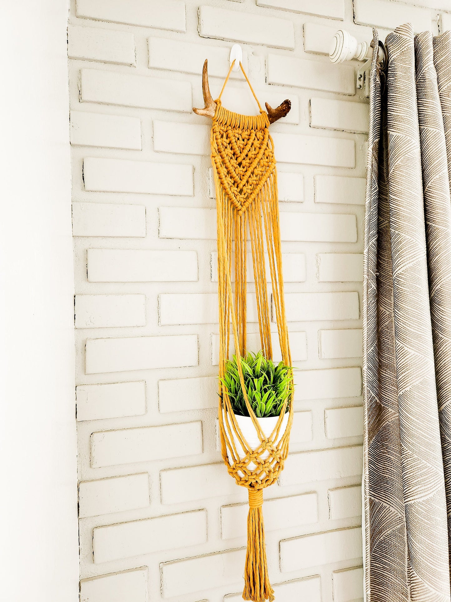 Macrame Plant Hanger on Antler, Boho Plant Hanger, Boho House Decor, Tassel Plant Hanger