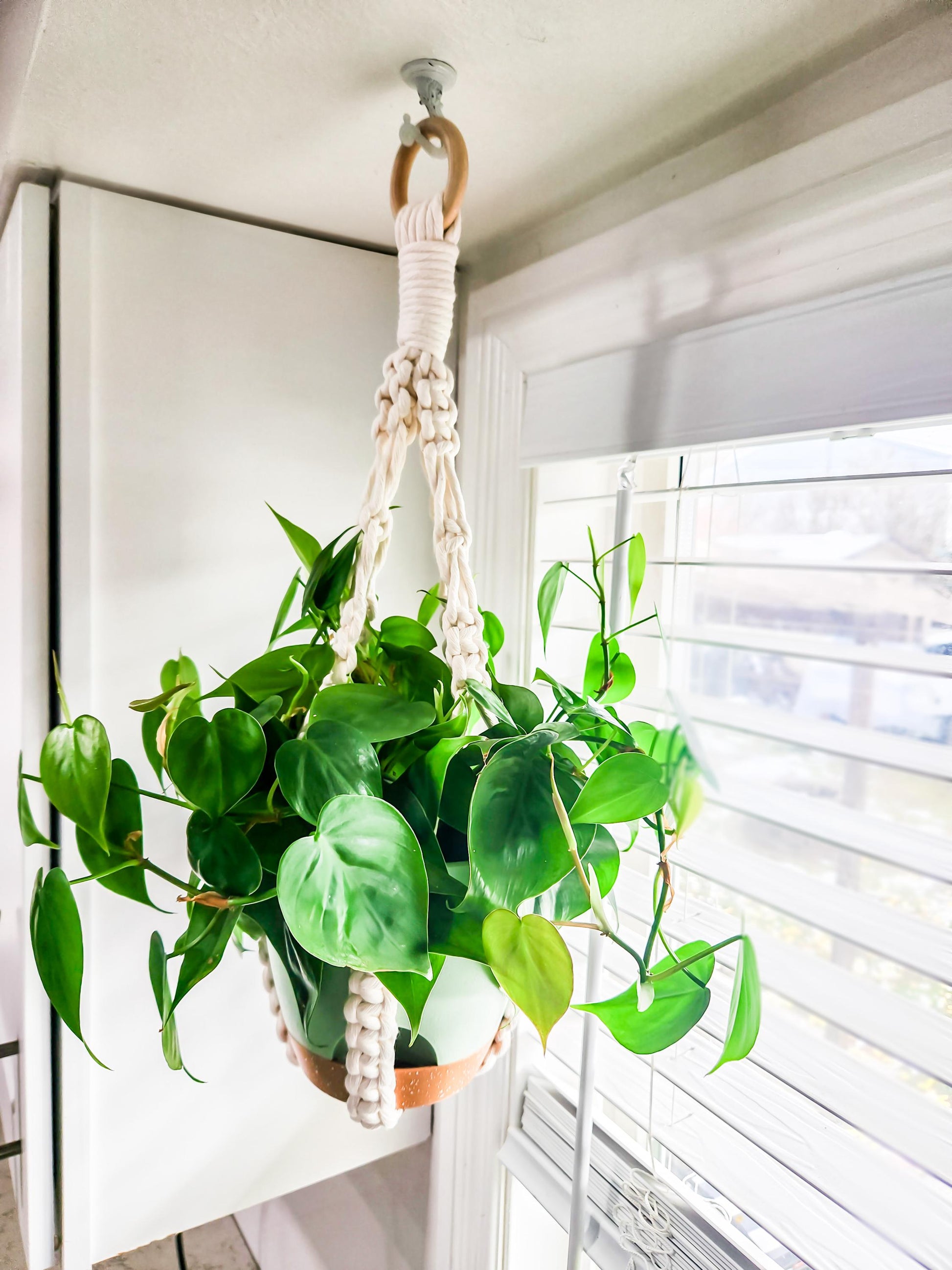 Macrame Plant Hanger, No Tassel, Available in Many Colors, Boho Plant Hanger, Boho House Decor