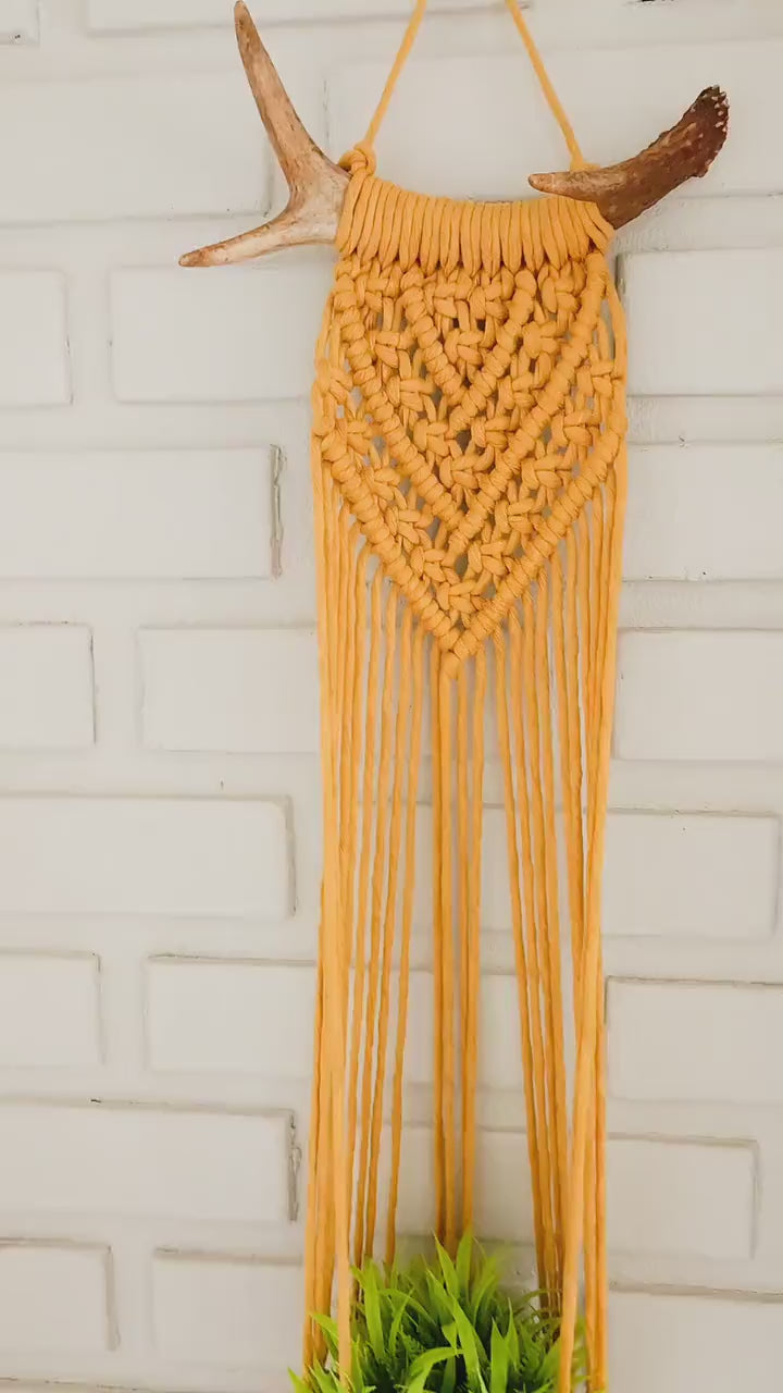 Macrame Plant Hanger on Antler, Boho Plant Hanger, Boho House Decor, Tassel Plant Hanger